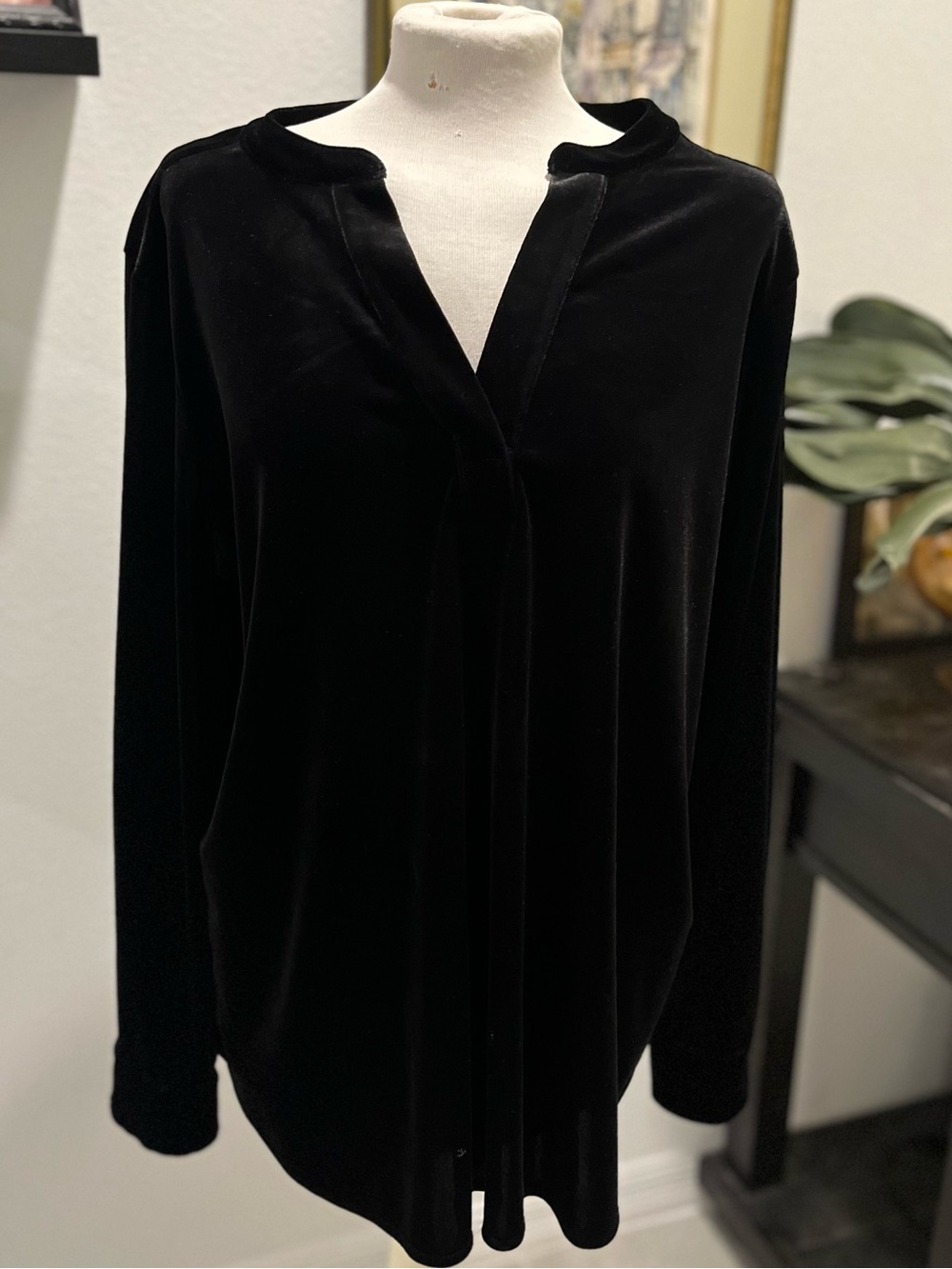 Investments Black Velvet Tunic Top with V-Notch